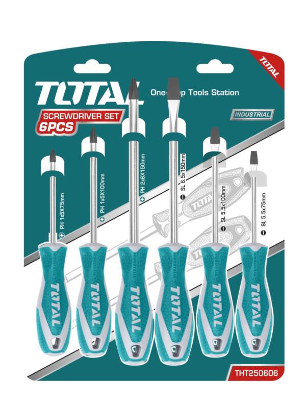 6 Pcs Screwdriver Set