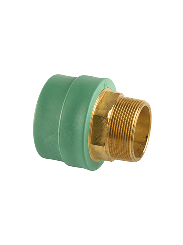 PPR Male Hexagon Socket