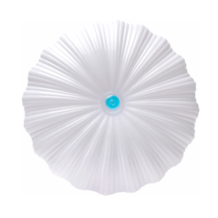 LED Ceiling Light (MD-SX09)